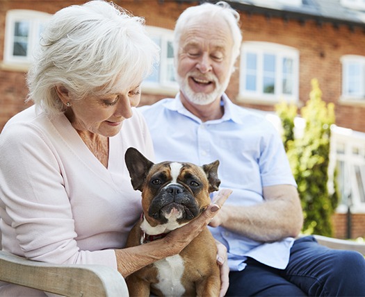 Mortgage Lifetime Solutions